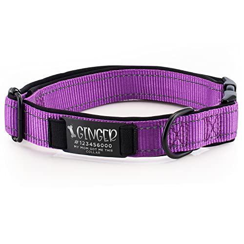 Improved - Personalized Dog Collars w/Engraved Metal ID Nameplate for Name & 3 Lines Text - Custom 20 Icons, 4 Adjustable Sizes, 10 Fonts - Dog Collar for Large Dogs, Dog ID Tag Personalized - Purple - color: Purple