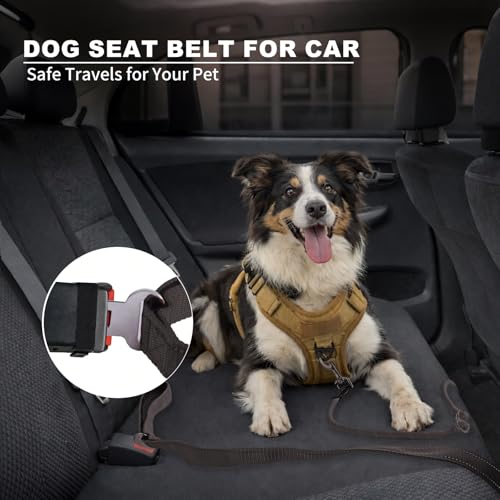 6FT Heavy Duty Dog Leash for Small Medium Large Dogs, Tangle Free Reflective Dog Training Leash with Double Handle, Seat Belt Buckle & Poop Bag Holder (Black) - color: Black, size: 6FT