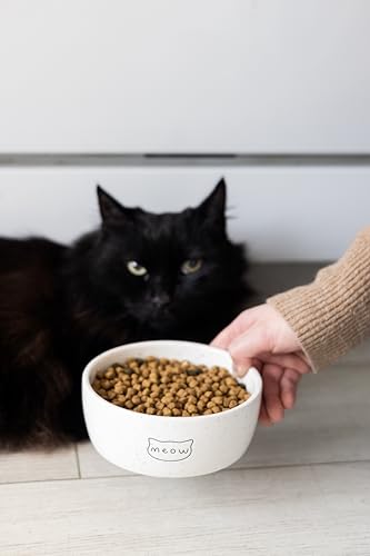 Pearhead Ceramic Meow Cat Bowl, Holds 12 oz, Whisker-Friendly Pet Dish for Food and Water, Modern Speckled White - color: Speckled "Meow", size: Single Bowl