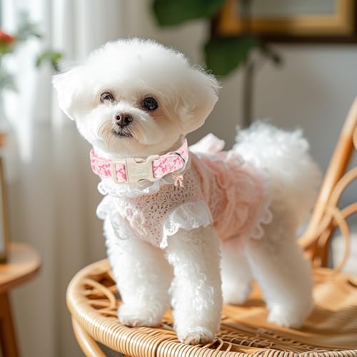Pink Bow Dog Collar Cute Girl Dog Collars for Puppy Small Dogs - Lightweight Adjustable Girly Spring Female Dogs Everyday Collar with Safety Buckle XS - color: Coquette Bow, size: XS