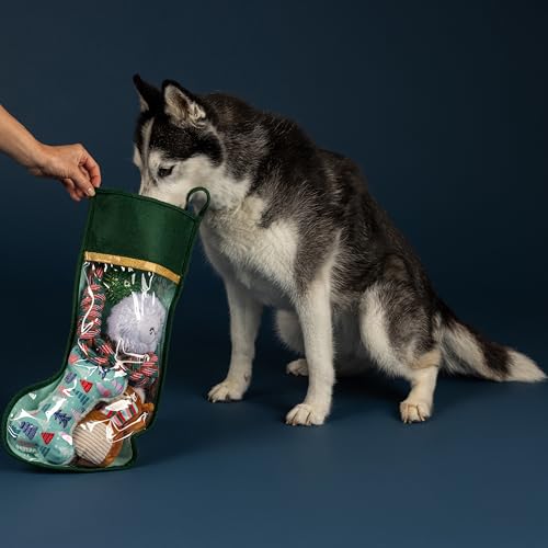 Fringe Studio Pet Toy, Happy Pawlidays Dog Toy Stocking 6 Piece Set, PetShop Collection (630020) - color: Pawlidays