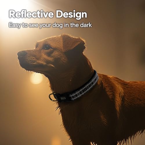 QQPETS Reflective Dog Collar with Soft Neoprene Padded Breathable Nylon Pet Collar Adjustable for Small Medium Large Dogs - color: Geometry, size: S