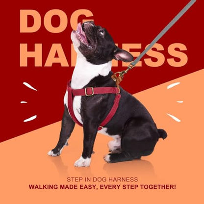 Didog Step in Dog Harness with Metal Buckles, Freedom Nylon Dog Halter Vests for Small Dogs Easy Walking Training(S:Chest 13-22", Red) - color: Red, size: S: Chest 14-22", Fit 7-18 lbs