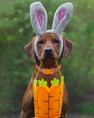 Medium Dog Collar Easter, Adjustable Quick Release Dog Collar Set 3/4 inch - color: Easter, size: M