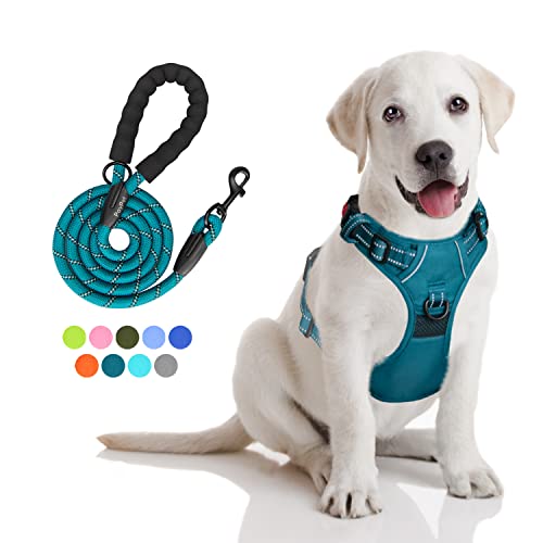 PoyPet No Pull Dog Harness and 5 Feet Leash Set, Release on Neck Reflective Adjustable Pet Vest, Front & Back 2 D-Ring and Soft Padded Pet Harness with Handle for Small to Large Dogs(Tumalo Teal,M) - color: Tumalo Teal, size: Medium