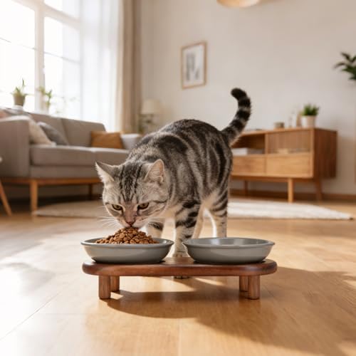 SPUNKYJUNKY Shallow Elevated Cat Bowl with Acacia Wood Stand Wide Raised Ceramic Cat Dishes Whisker Friendly Pet Food and Water Plates (Striped Pattern, Gray) - color: Gray