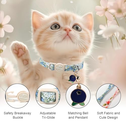 2 Pack Spring Summer Cat Collars - Cute Breakaway Cat Collar with Bell, Bluberry and Strawberry Pendant, Adjustable Kitten Collars for Girl Cats, Pastel Floral Fruit - color: Bluberry and Strawberry