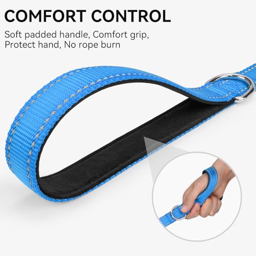 Joytale Dog Leash, 4 FT Double-Sided Reflective, Padded Handle Nylon Heavy Duty Leashes for Small Dogs Walking, SkyBlue - color: SkyBlue, size: 4 ft Narrow