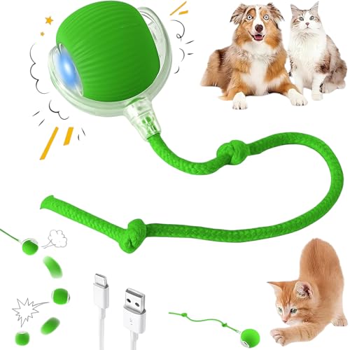 Interactive Electric Automatic Rolling Moving Rechargeable Self Play Stimulation Toy,Smart Pet Chase with Speedy Tail Rope for Bored Indoor Cats (Green) - color: GREEN