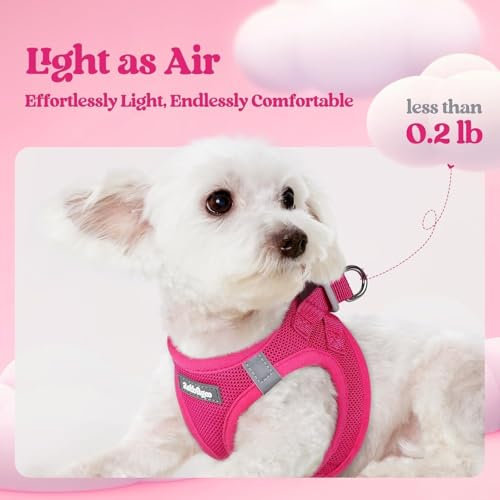 rabbitgoo Dog Harness Small Medium Sized and Leash Set, Step in Soft Light Puppy Vest, Breathable Mesh Pet Harness, Reflective for Safe Easy Walking, Rose Red L - color: Rose Red, size: L (chest: 18.2 - 20.5")