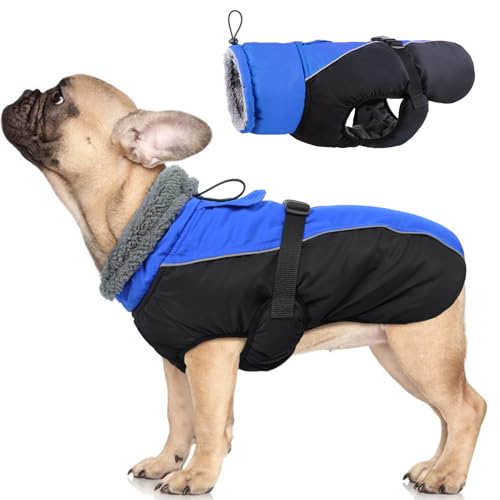 IDOMIK Dog Winter Coat, Reflective Waterproof Dog Jacket for Cold Weather, Warm Pet Coats for Small Medium Large Dogs, High Collar Doggy Fleece Snow Jacket, Winter Vest with Adjustable Buckle,S - color: Blue, size: Small