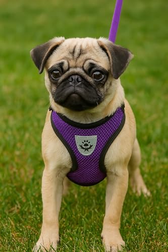 No-Pull Dog Harness, Adjustable Reflective Vest with Quick Release Buckle, Breathable Mesh - color: Purple, size: L **Runs small – Size up**