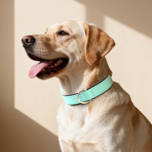 Didog Soft Padded Dog Collar for Large Dogs, Lightweight and Breathable Dog Collar with Metal Buckle, Green, XL - color: Green, size: XL: Fit 17-23" Neck
