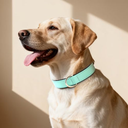 Didog Soft Padded Dog Collar for Large Dogs, Lightweight and Breathable Dog Collar with Metal Buckle, Green, XL - color: Green, size: XL: Fit 17-23" Neck
