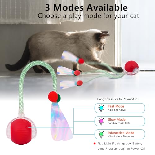 SUPERSUN Interactive Cat Toy Balls, Automatic Rolling Cat Tease Ball with Bird Chirping Sound & 3 Modes, Rechargeable USB Kitten Toys for Indoor Cats, 2 Fun Flexible Tails Stimulate Hunting Instincts