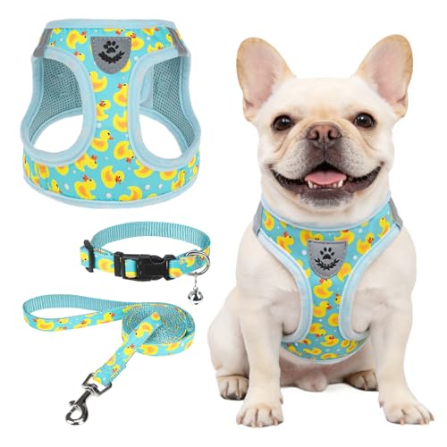 SCENEREAL Small Dog Harness and Leash Collar Set, Step in Soft Light Puppy Vest, Breathable Pet Harness for Small Sized Dogs, No Chock Reflective for Safe Outdoor Walking, Yellow Duck M - color: Light Blue with Duck, size: M: Chest Girth: 16"-18"