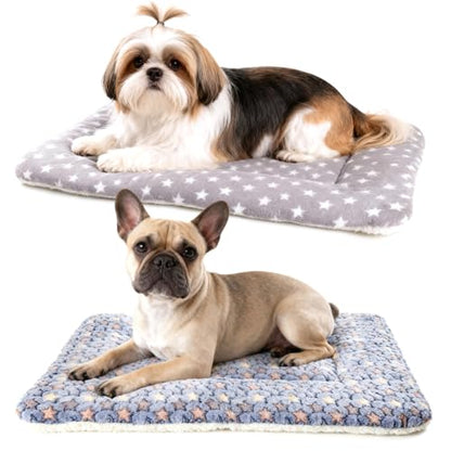 Dog Blankets for Small Dogs, 2-Pack Washable Plush Pet Mat - Soft & Warm Reversible Puppy Blankets for Couch, Bed, Crate& Travel Carrier - size: 26"x19"