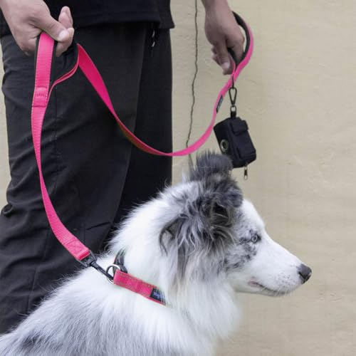 Wagtime Club Double Handle Dog Leash, 6ft Long Heavy Duty Dog Leash with Paded Traffic Handles for Extral Control and Training, Dual Handles Leads, Large Medium Small Dogs (Lively Pink) - color: Lively Pink