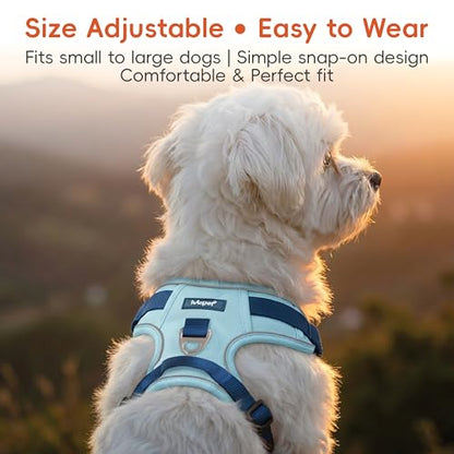 Blue Dog Harness Leash Collar Set, No Pull Reflective Dog Vest Harness with Control Handle, Adjustable Breathable Pet Harness for Large Dogs Walking Training - color: Blue, size: L