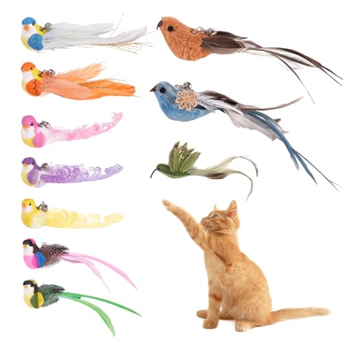 10PCS Cat Bird Toy Refills Feather Cat Wand Attachments with Bell, Interactive Cat Toys for Indoor Cats Kittens, Kitty - color: 10PCS Birds