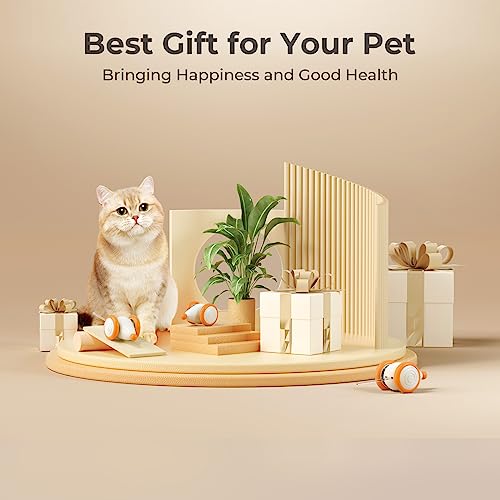 Cheerble Interactive Cat Toys for Indoor Cats, Automatic Cat Toy with LED Lights, Wicked Mouse Toys, Kitten Toys, Pet Supplies, Smart Electric Cat Toy, USB Rechargeable, Auto On/Off(Yellow) - color: Yellow