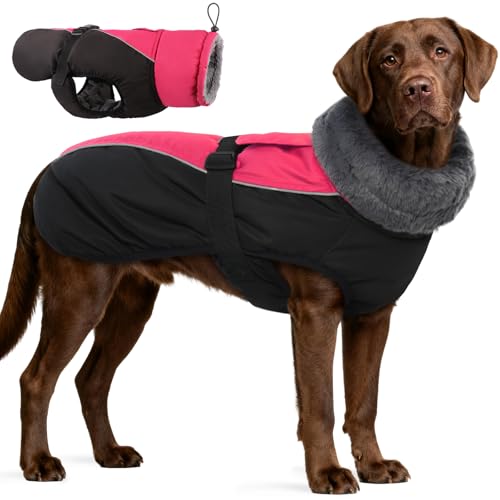 IDOMIK Dog Winter Coat, Reflective Waterproof Dog Jacket for Cold Weather, Warm Pet Coats for Small Medium Large Dogs, High Collar Doggy Fleece Snow Jacket, Winter Vest with Adjustable Buckle,XXL - color: Rose Red, size: XX-Large