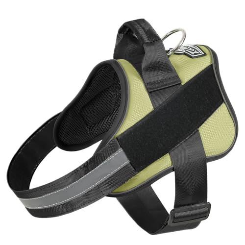Dog Harness, No-Pull Reflective Dog Vest, Breathable Adjustable Pet Harness with Handle for Outdoor Walking - No More Pulling, Tugging or Choking - color: Matcha, size: X-Small (Pack of 1)