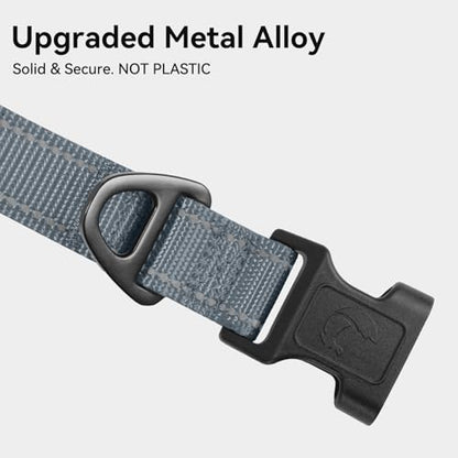 Joytale Reflective Dog Collar, Soft Neoprene Padded, Metal D-Ring, Nylon Pet Collar Adjustable for Puppy and Small Dogs, Gray, XS - color: Gray, size: X-Small (Pack of 1)