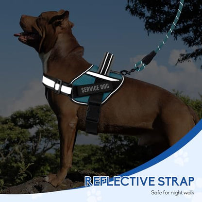 Service Dog Vest Harness and Leash Set, Animire in Training Dog Harness with 10 Dog Patches, Reflective Dog Leash with Soft Padded Handle for Small, Medium, Large, and Extra-Large Dogs - color: Light Blue, size: XXS
