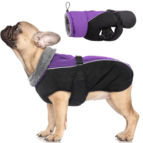 IDOMIK Dog Winter Coat, Reflective Waterproof Dog Jacket for Cold Weather, Warm Pet Coats for Small Medium Large Dogs, High Collar Doggy Fleece Snow Jacket, Winter Vest with Adjustable Buckle,S - color: Purple, size: Small