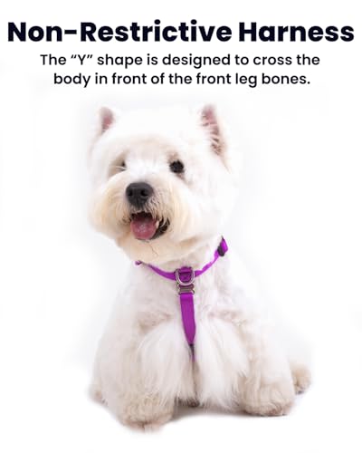 Non-Restrictive No-Pull Dog Harness, Neck Buckle Desgin, Six Points Adjustment, Sewn-in Instructions Labels, for Medium Dog Chest(21-30 inches), Purple - color: Purple, size: M