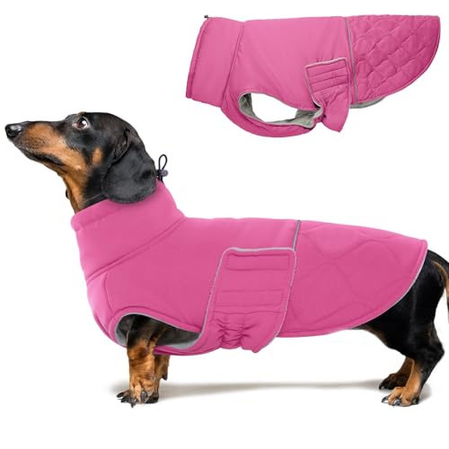 BRKURLEG Dog Winter Jacket, Warm Dog Winter Coats for Small and Medium Large Dogs, Reflective Adjustable Pet Cold Weather Coats, Waterproof Dogs Snow Jacket Clothes Fleece Vest (XS, Rose Red) - color: Rose Red, size: X-Small