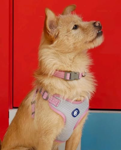 Blueberry Pet Essentials Back to Basics Reflective Dog Harness Vest, Candy Pink, Large, Adjustable Harnesses for Dogs - color: Candy Pink, size: Large (Pack of 1)