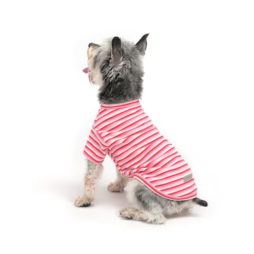Soft Dog Shirt for Small Medium Dogs, Breathable Dog Clothes for Puppy Girl Boy, Stretchy Cotton Dog Tshirts, Fits Jack Russell, Mini Dachshund, Green Stripe-M - color: Pink-Stripe, size: Medium