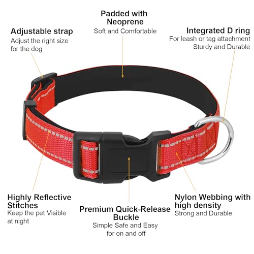 Dog Collars Adjustable for Puppy and Small Dogs,Heavy Duty Waterproof Dog Collar with Quick Release Buckle,Girl Boy Female Male Reflective Nylon Dog Collar with Soft Neoprene Padded,XS,Red - color: Red, size: X-Small