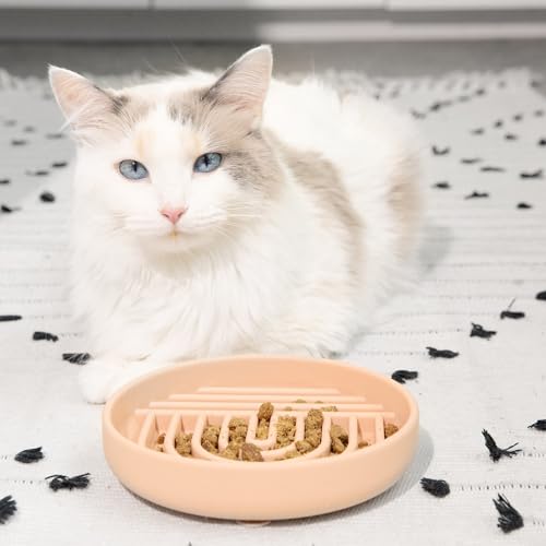 Should We Go? Slow Feeder for Dogs & Cats, The Slowdown Bowl Silicone Slow Eating Mealtime Solution with Modern Lick Mat Design, Reduces Gulping, Fits 1 Cup, 6” Across x 1.25” Tall, Small-Blush - color: Blush - Rainbow Design, size: Small (6” Across x 1.2