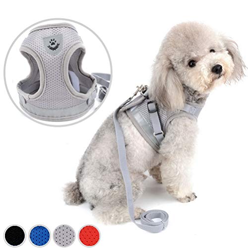 Zunea No Pull Dog Harness for Tiny Small Dog Cat, Kitten Lead Escape Proof for Daily Walking Reflective Breathable Soft Mesh Padded Step-in Vest Harnesses Leash Set Gray XS - color: Gray, size: XS (Chest:10.2 Inch, for 1-3lbs)