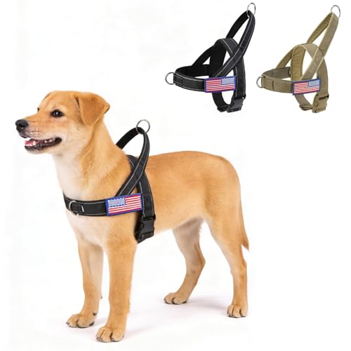 BINGPET No Pull Dog Harness for Small Dogs | Escape-Proof & No-Choke | Soft Padded Vest with Handle & Reflective Front Clip | Quick-Fit for Training, Hiking & Daily Walks | Brown, S - color: Black, size: S (Chest 20-23in)