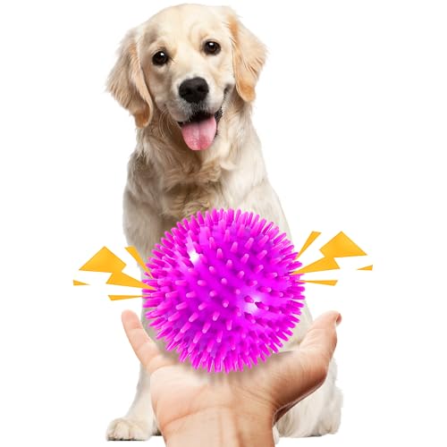 2 Pack 4.5” Squeaky Dog Balls for Large and Medium Dogs, Spiky Dog Toy Balls for Aggressive Chewers - color: Large Set of 2