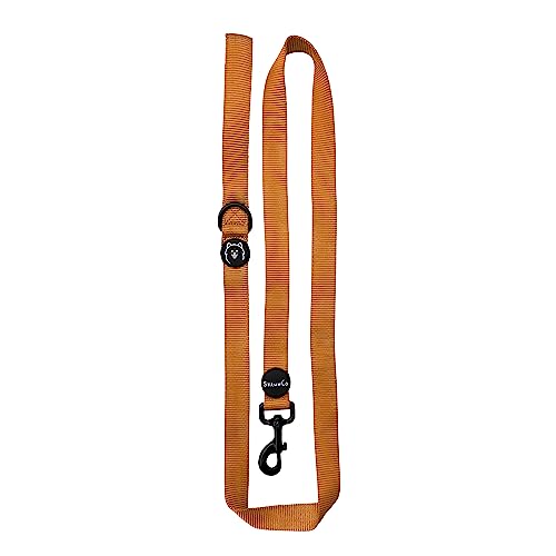 ShawnCo Dream Walk Dog Leash- Premium, Nylon Pet Leash with Soft Neoprene Handle for Small, Medium and Large Dogs (Sunset Orange, Small) - color: Sunset Orange, size: Small