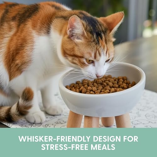 The Cat Ladies Tilted Ceramic Cat Bowl - Elevated Food Bowls Ceramic Pet Bowl - Raised Ceramics Bowls - Elevated & Tilted Design for Comfortable Eating - Dishwasher Safe - Wide Opening - color: Light Grey