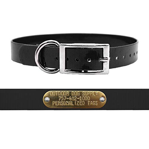 Outdoor Dog Supply 1" Heavy Duty Waterproof D-Ring Dog Collar for Medium & Large Dogs with Custom 3/4" Brass Nameplate (Black, 21") - color: Black, size: 21" Long