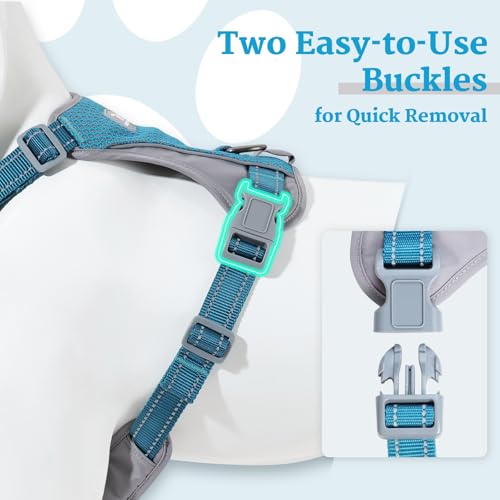 Huntboo No-Pull Dog Harness, Fully Reflective Vest with 2 Leash Clips, No-Choke, Adjustable, Breathable & Durable for Small, Medium & Large Dogs Walking, Training, Running (Teal Blue, L) - color: Teal Blue, size: Large (Pack of 1)