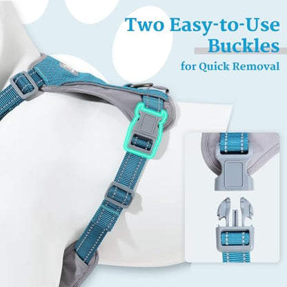 Huntboo No-Pull Dog Harness, Fully Reflective Vest with 2 Leash Clips, No-Choke, Adjustable, Breathable & Durable for Small, Medium & Large Dogs Walking, Training, Running (Teal Blue, L) - color: Teal Blue, size: Large (Pack of 1)