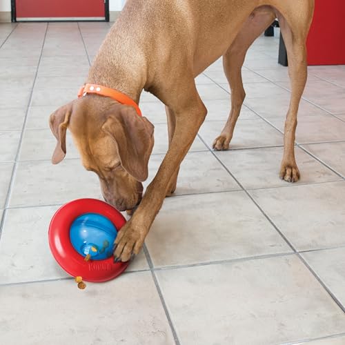 KONG Gyro - Interactive Dog Toy for Treat Dispensing - Dog Slow Feeder for Healthy Eating - for Small Dogs - size: Small (Pack of 1)