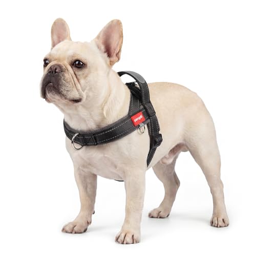 No Pull Dog Harness with Handle, Boston Terrier Adjustable Reflective Dog Vest, Breathable Air Mesh Padded Pet Harness with Front Leash Clip for Small Medium Dogs, Black, M - color: Black, size: Medium