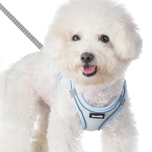 Sparkly Dog Harness Small Sized and Leash Set for Small Dogs Cats,Blue XXS Puppy Harness, Step in Soft Dog Reflective Vest, Breathable Mesh Pet Harness. (Blue, XXS) - color: Blue, size: XXS