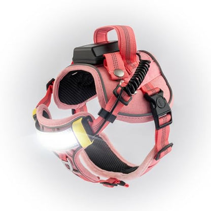 Lumi One LED Dog Harness for Night Visibility and Safety, Patent Pending – Light-Up Dog Vest, Reflective, Adjustable, Rechargeable, Durable, High-Visibility Pet Gear (Pink, Medium) - color: Pink, size: Medium