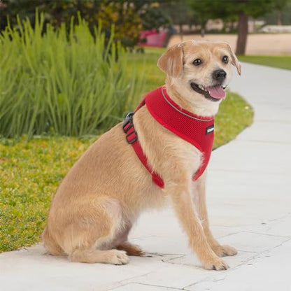 Voyager Aerolite Over The Head Dog Harness, No Pull Breathable Air Mesh Vest, Quick Dry with Reflective Stitching, Adjustable Escape Resistant Harness for Small Medium Large Dogs - Red, Medium - color: Red, size: M