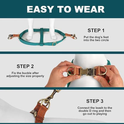 Didog Step in Dog Harness with Metal Buckles, Freedom Nylon Dog Halter Vests for Small Dogs Easy Walking Training(S:Chest 13-22", Blue) - color: Blue, size: S: Chest 14-22", Fit 7-18 lbs